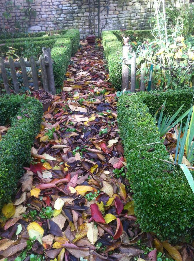 44 Rue Cap Bed & Breakfast ก็อง ภายนอก รูปภาพ
